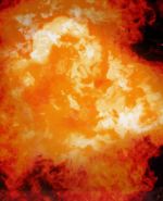 Whoop Japan Official